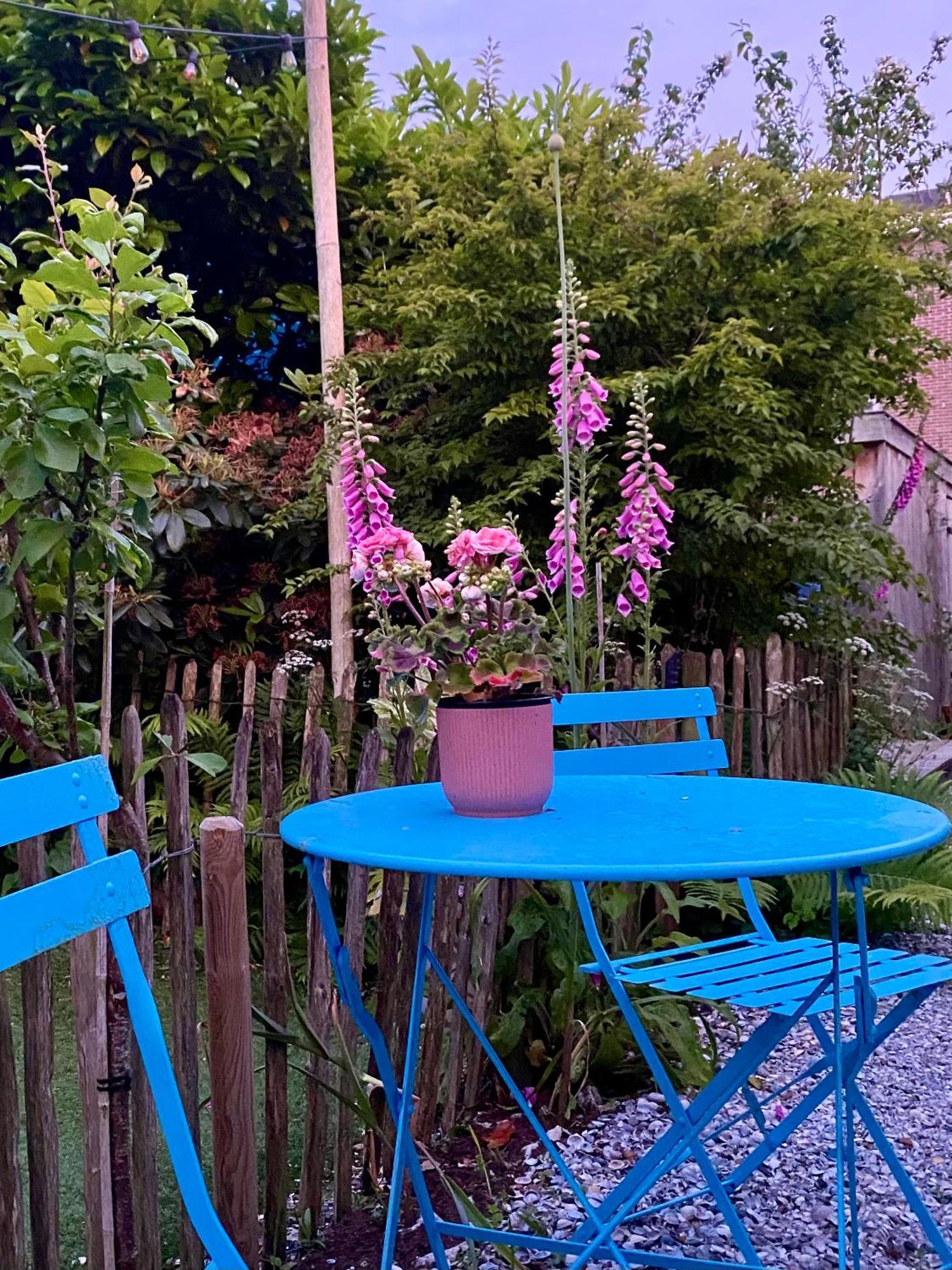 In De Aap - Appartementen & Guesthouse Bergen Zewnętrze zdjęcie