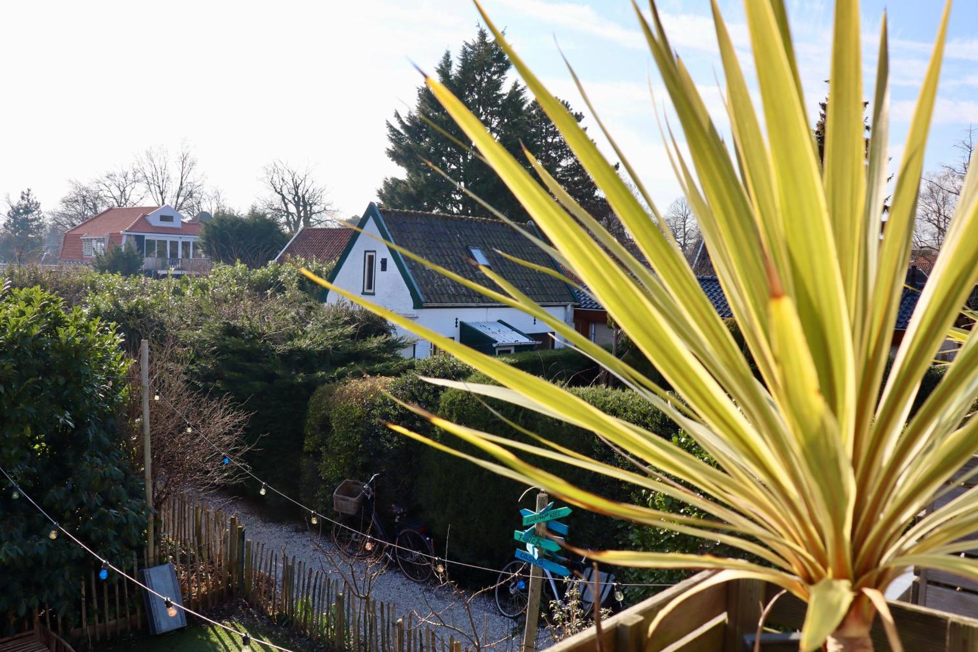 In De Aap - Appartementen & Guesthouse Bergen Zewnętrze zdjęcie